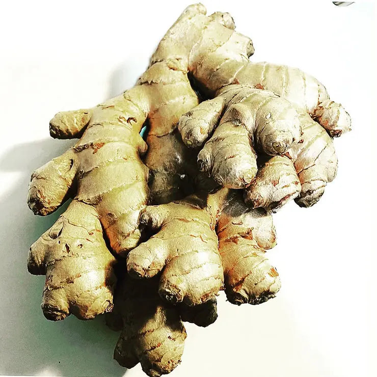 Benefits Of Ginger Root Root2Ginger